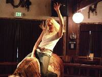 Bucking-Bull