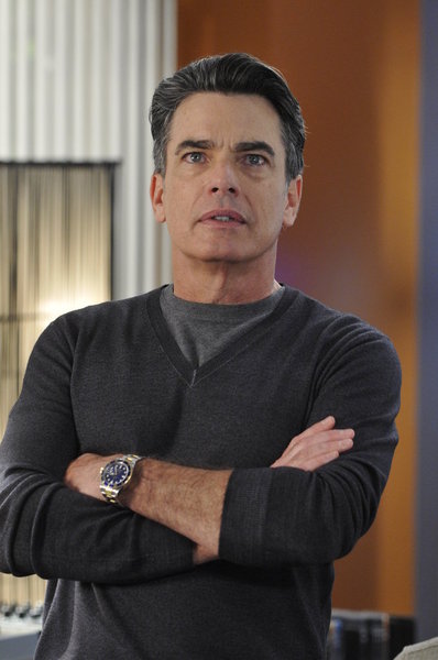 Peter Gallagher, The O.C.