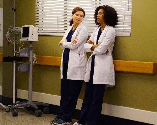 7-Greys-13.3-Amelia.jpg