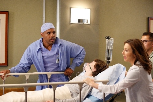 8-Greys-13.6-WarrenAmelia.jpg