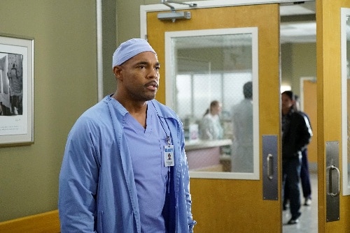 9-Greys-13.6-Warren.jpg