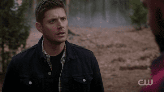 SPN 1119 1.png