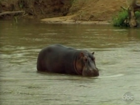 chantal-hippo-ugh1.jpg