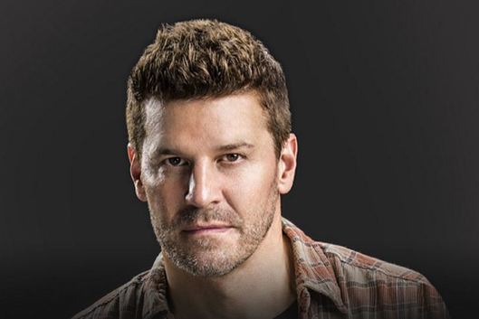 David Boreanaz as Jason Hayes