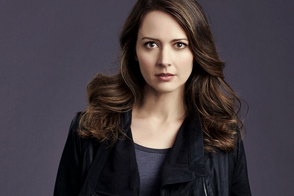 Amy Acker, Person of Interest