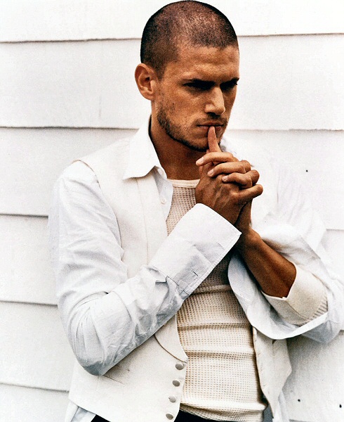 Wentworth Miller (Prison Break)