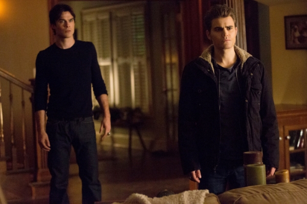 Stefan and Damon Salvatore, The Vampire Diaries