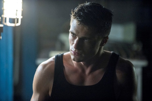 Colton Haynes, Arrow