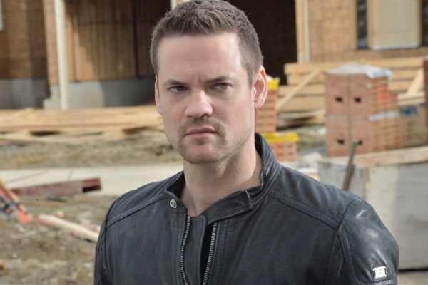 Shane West, Nikita