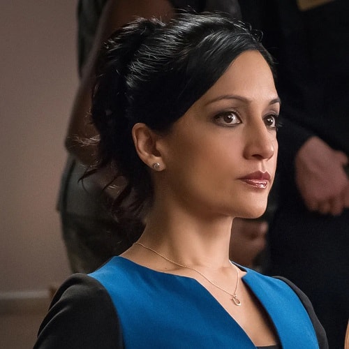 Kalinda, The Good Wife (2013)