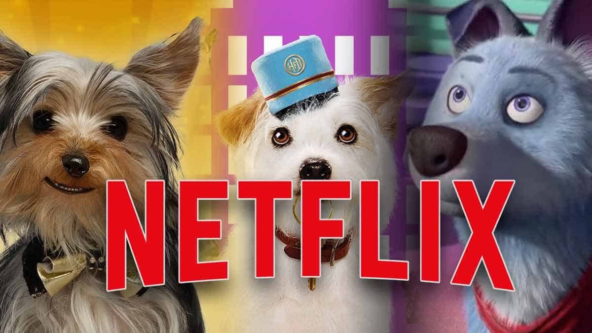 Best Dog Movies On Netflix You Can't Miss - BuddyTV