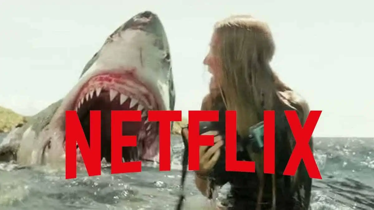 11 Shark Movies On Netflix (Our Picks)