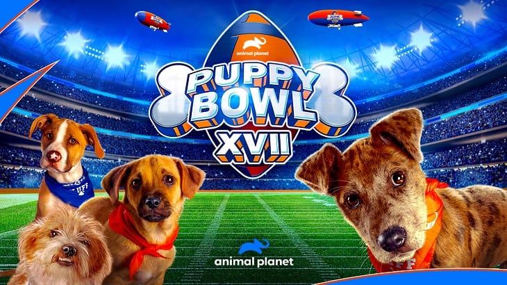Where Can You Watch the “Puppy Bowl?”
