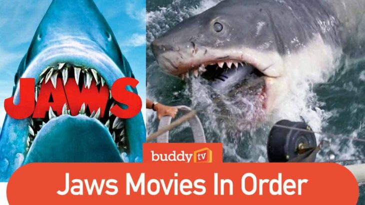 Jaws Movies In Order (How to Watch the Film Series)