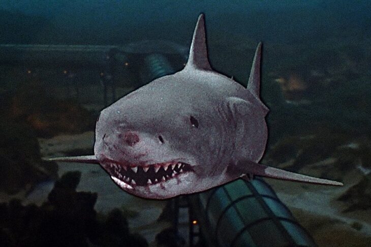 'Jaws 3-D' (1983) - #10 Worst Sequel of All Time