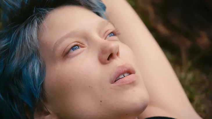 Blue Is the Warmest Color (2013)