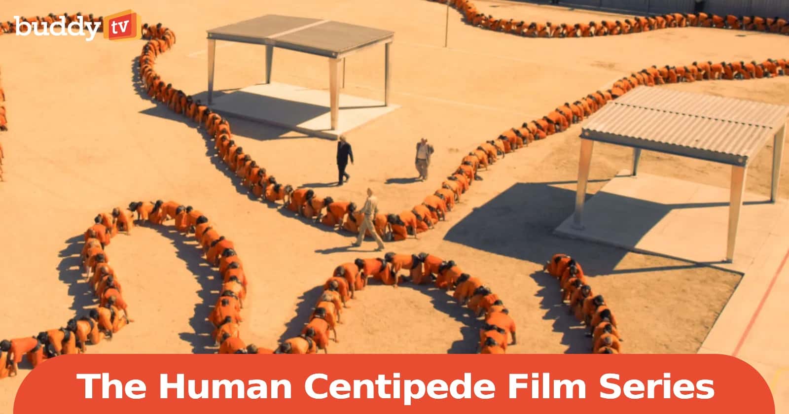 Read This Before You Watch “The Human Centipede” (Film Series)