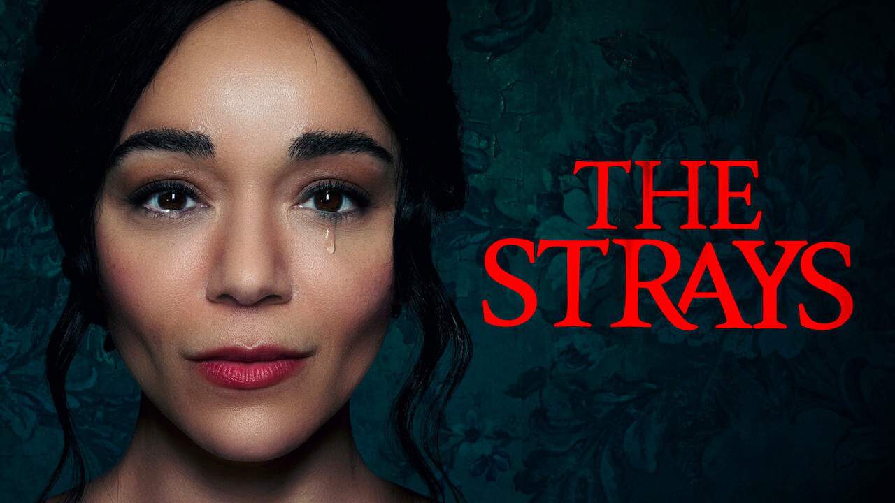 “The Strays” – A Truly Captivating Thriller on Netflix