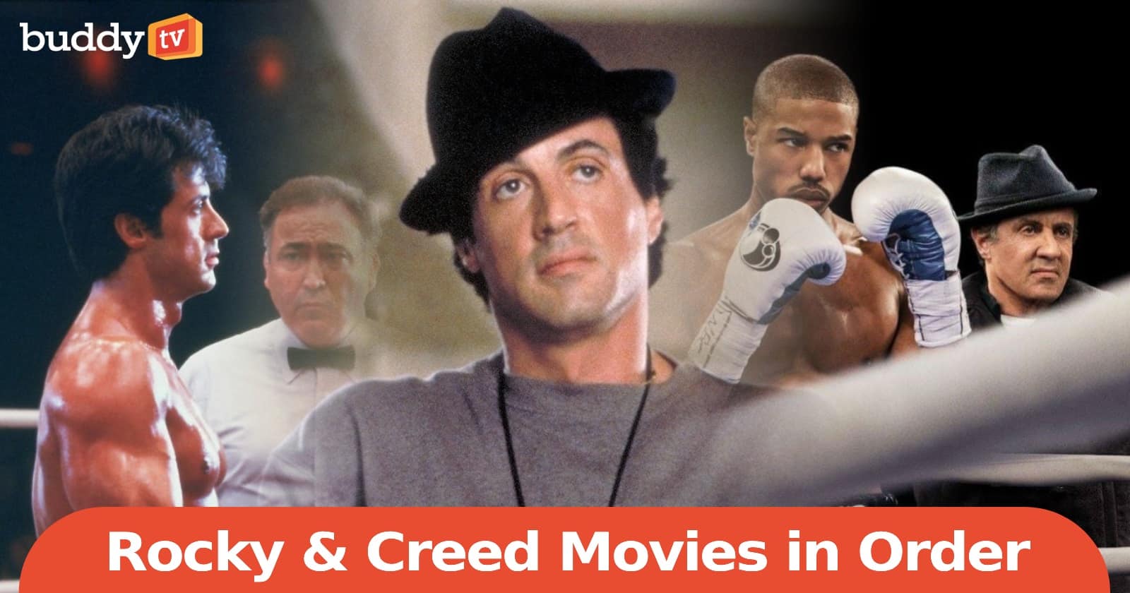 Rocky and Creed Movies in Order: How to Watch the Franchise
