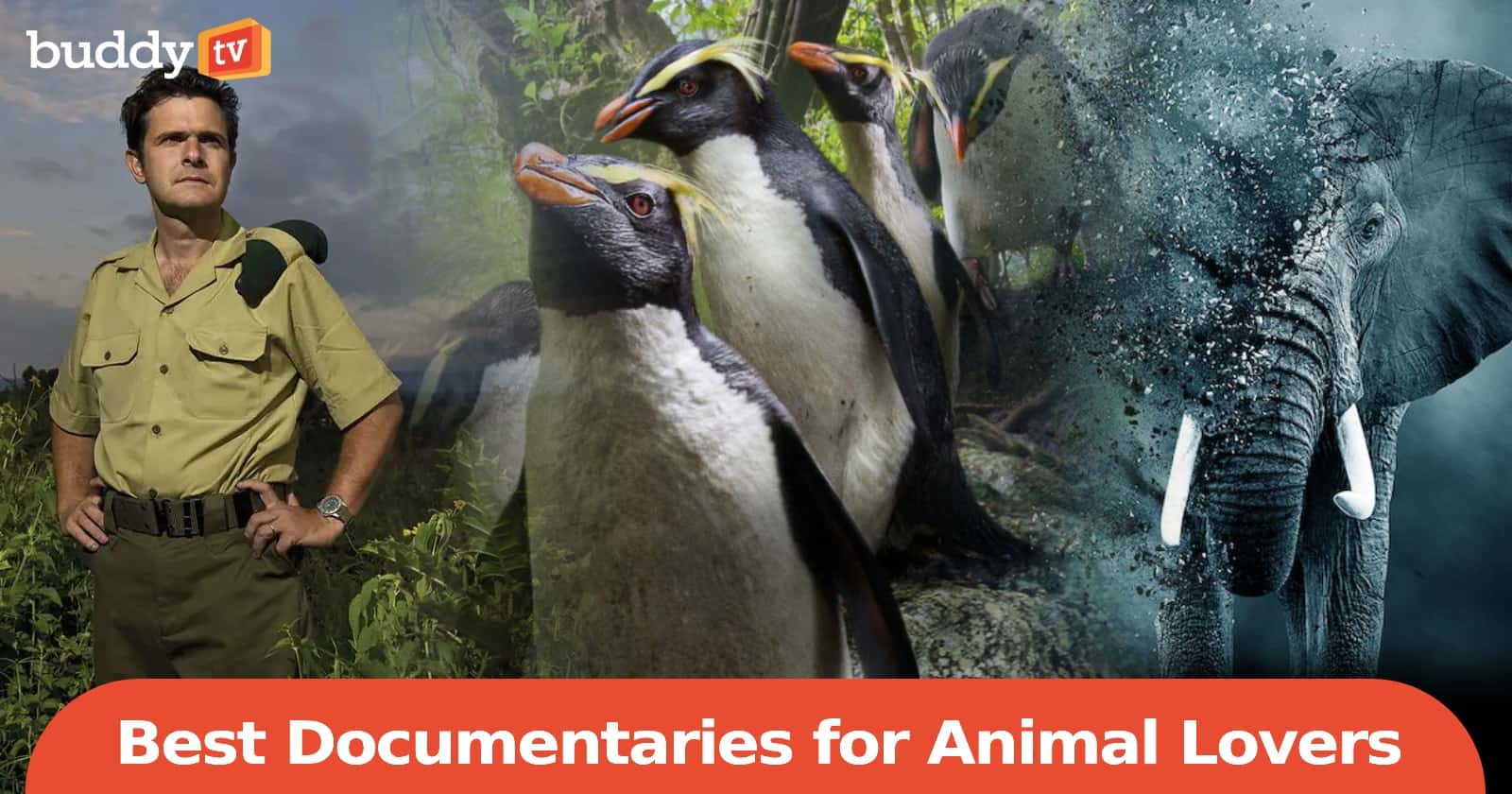 10 Best Documentaries for Animal Lovers and Enthusiasts