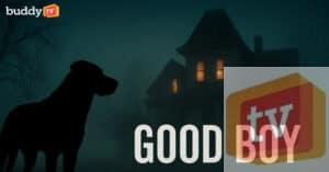 ‘Good Boy’: 2025’s Dog Horror Movie That Everyone Is Talking About