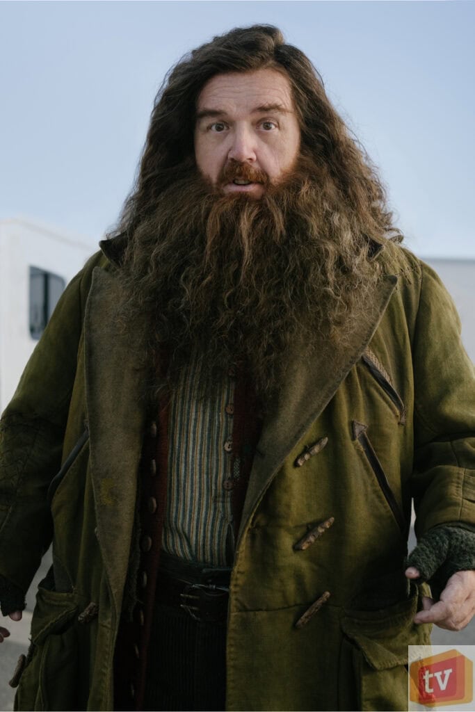 Nick Frost as Rubeus Hagrid in Harry Potter TV Series