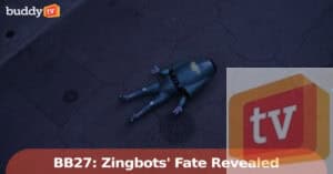 ‘Big Brother 27′ Spoiler: ZingBots’ Fate Revealed [Video]