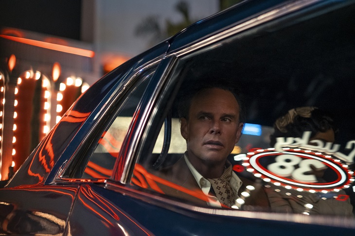 Fallout Season 2 (Walton Goggins)