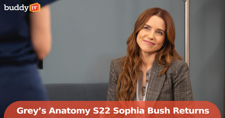 Grey’s Anatomy Season 22 Brings Sophia Bush Back as Cass for Episode 3